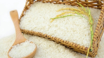 Cập nhật giá gạo hôm nay 22/1: Thị trường ảm đạm