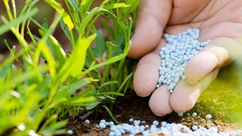 Trung Quốc là thị trường lớn nhất cung cấp phân bón cho Việt Nam