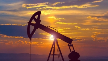 Giá xăng dầu hôm nay 29/1: Tăng nhẹ