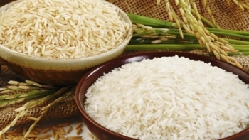 Giá gạo hôm nay 30/1: Ở mức khả quan