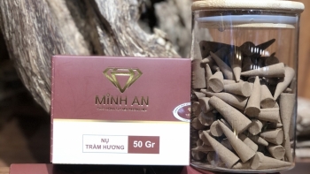 Trầm Hương Minh An: Địa chỉ phân phối uy tín, đáng tin cậy cung cấp Sâm Ngọc Linh