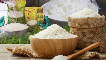 Giá gạo hôm nay 31/1: Đi ngang ngày cuối tháng