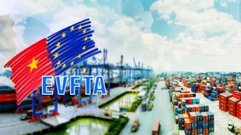 Bổ sung thành viên của Nhóm DAG Việt Nam trong Hiệp định EVFTA