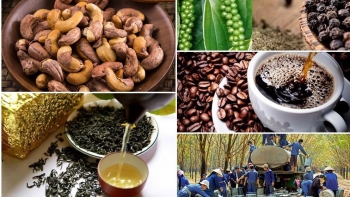 Cơ hội, thách thức, triển vọng xuất khẩu nông sản sang thị trường EU