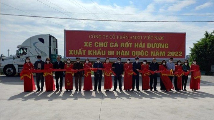 Hải Dương xuất khẩu 500 tấn cà rốt sang Hàn Quốc