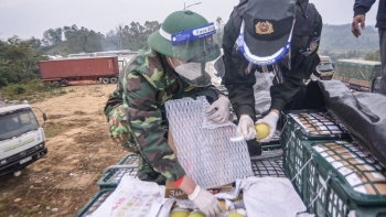 Lạng Sơn tạm dừng tiếp nhận xe chở hoa quả tươi lên cửa khẩu từ 17/01