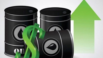 Cập nhật giá xăng dầu hôm nay 16/1/2022: Tăng tuần thứ 2 liên tiếp