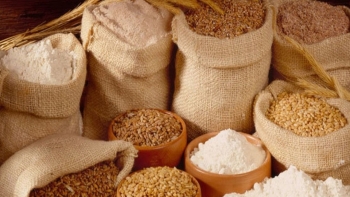 Nhập khẩu thức ăn gia súc và nguyên liệu năm 2021 tăng 28,4% kim ngạch