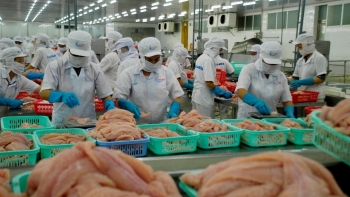 Xuất khẩu cá tra sang Trung Quốc “khởi sắc” trở lại