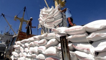 Gạo Việt được đón nhận tại thị trường châu Âu