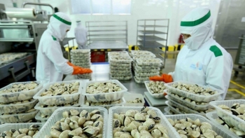 Xuất khẩu hải sản năm 2021 đạt 3,4 tỷ USD