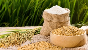 Giá gạo hôm nay 5/2: Chững lại và đi ngang