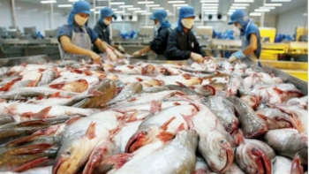 Campuchia ngừng nhập khẩu 4 loại cá da trơn từ Việt Nam