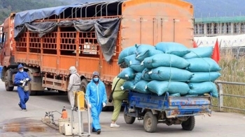 Hải Dương: Hướng dẫn hàng hóa ra vào khu vực phong tỏa, cách ly dịch COVID-19