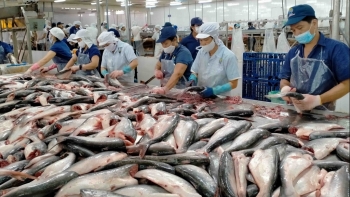 Campuchia đồng ý nối lại việc nhập khẩu một số loại cá từ Việt Nam