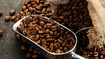 Giá cà phê hôm nay 9/2: Xu hướng đi ngang