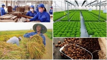 Thúc đẩy xuất khẩu nông lâm thủy sản đạt 62 tỷ USD vào năm 2030