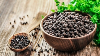 Giá hồ tiêu hôm nay 10/2: Giữ ổn định tại các vùng trồng trọng điểm