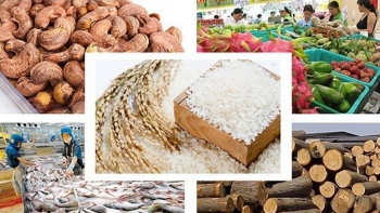 Xuất khẩu nông sản tháng 1/2021 tăng 27,1%, thu về gần 3,5 tỷ USD