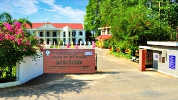 Cao su Tân Biên (RTB) báo lãi quý IV/2020 cao gấp 2,4 lần cùng kỳ