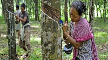 Giá cao su trên thị trường châu Á tiếp tục tăng trong tháng đầu năm 2021