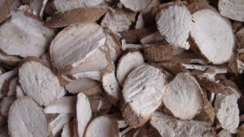 Việt Nam là thị trường lớn thứ 2 cung cấp sắn lát cho Trung Quốc