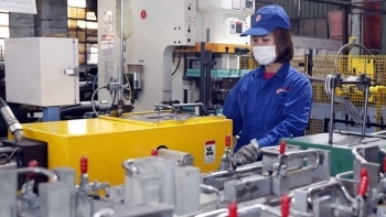 Chuyên gia Séc nhận định về chiến lược công nghiệp 4.0 của Việt Nam