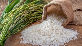 Giá gạo hôm nay 17/2: Vẫn neo ở ngưỡng cao sau kỳ nghỉ Tết