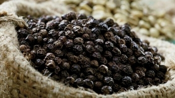 Hà Lan ưa chuộng nhiều loại nông sản Việt Nam