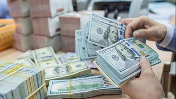 Ngân hàng Nhà nước tiếp tục điều chỉnh phương án mua ngoại tệ