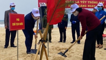 Phó Chủ tịch nước phát động 'Tết trồng cây đời đời nhớ ơn Bác Hồ'