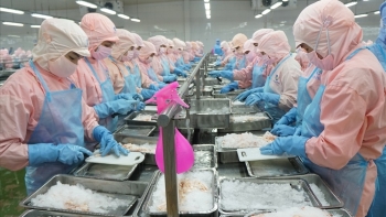 Năm 2020, lợi nhuận "vua tôm" Minh Phú tăng 39%