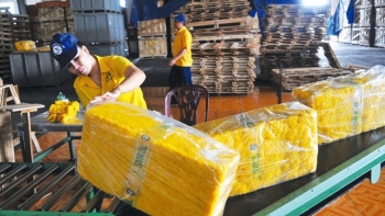 Dự báo xuất khẩu cao su sẽ khó tăng mạnh do dịch COVID-19