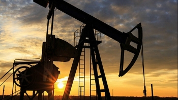 Giá xăng dầu hôm nay 25/2: Tăng vọt