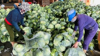 Phó Thủ tướng chỉ đạo không để hàng hóa bị ách tắc vì dịch COVID-19