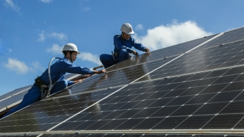 Quảng Trị duyệt dự án trang trại chăn nuôi công nghệ kết hợp điện mặt trời áp mái