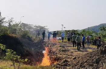 Phú Yên: Tiêu hủy 11.410 bao thuốc lá điếu nhập lậu