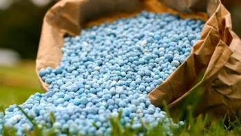 Nhập khẩu phân bón sụt giảm cả về lượng và trị giá trong tháng 1/2021