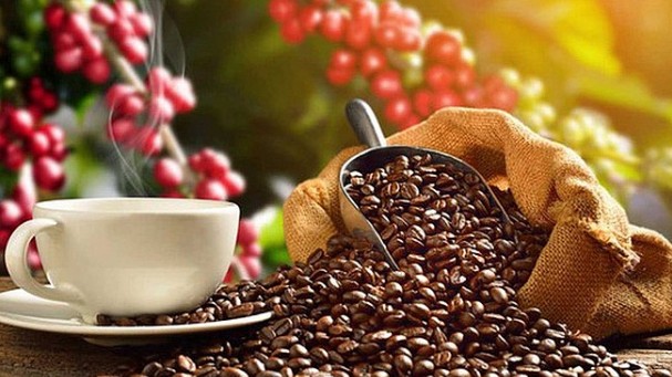 Cập nhật giá cà phê hôm nay 1/2/2022: Giảm nhẹ
