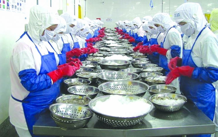 Tôm vẫn là \'át chủ bài\' của ngành xuất khẩu thủy sản trong những năm tới