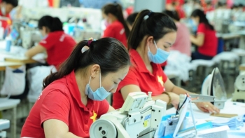 Hỗ trợ khoảng 10.000 doanh nghiệp tư nhân kinh doanh bền vững