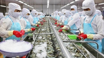 Top 10 thị trường đơn lẻ nhập khẩu thủy sản Việt Nam