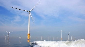 Nghiên cứu thành lập Trung tâm năng lượng tái tạo