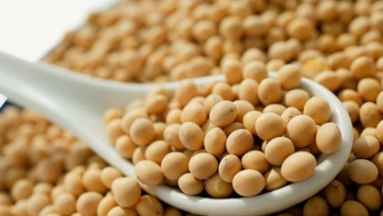 Nhập khẩu đậu tương tháng 1/2022 tăng mạnh