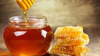 Áp thuế chống bán phá giá mật ong Việt Nam cần khách quan, công bằng