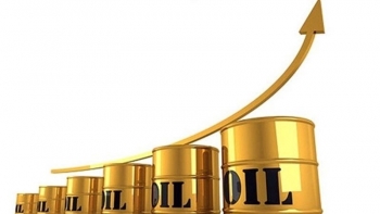 Cập nhật giá xăng dầu hôm nay 20/2/2022: Tuần tăng thứ 9 liên tiếp