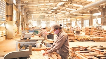 Xuất khẩu gỗ và sản phẩm gỗ tăng tốc ngay tháng đầu năm, đạt 1,5 tỷ USD