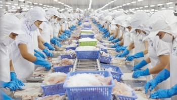 Dự báo kim ngạch xuất khẩu thủy sản năm 2022 sẽ đạt 9,2 tỷ USD