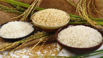 Giá gạo hôm nay 4/3: Đi ngang