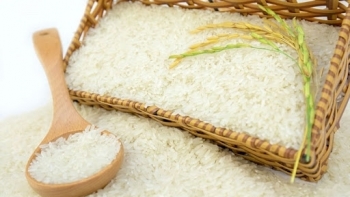 Giá gạo hôm nay 5/3: Sụt giảm nhẹ